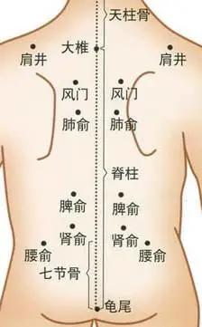 磨膝蹲髋摩三焦,吐纳拍打四肢轻.
