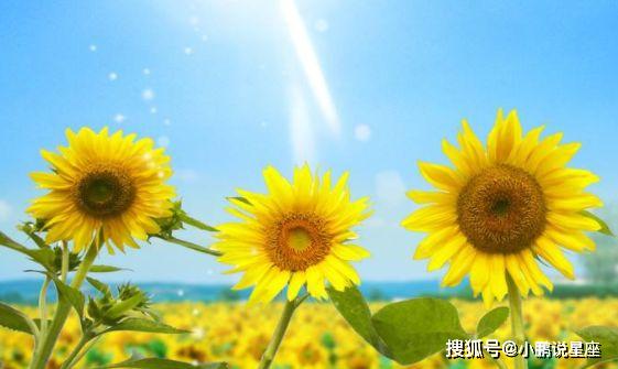 安稳踏实的生活 2e29ac66a29c4417aded495424435119.jpeg