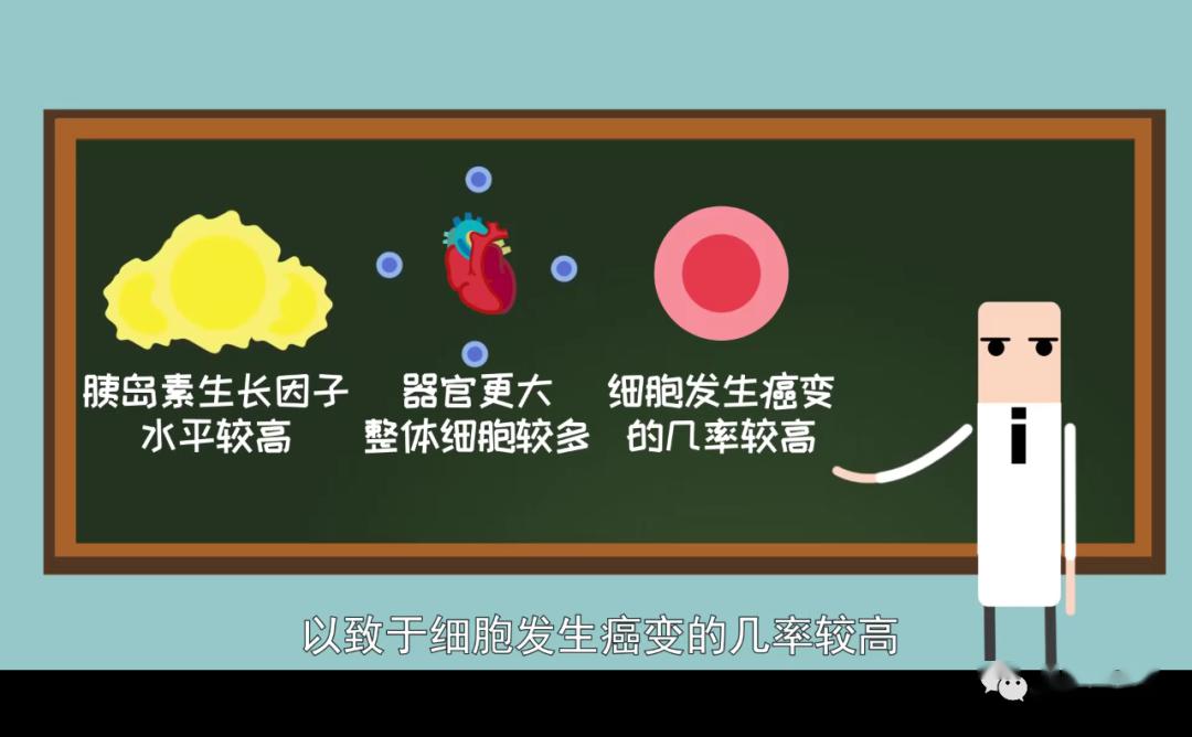 国家癌症中心还羡慕大高个吗？个高竟是男性比女性更易患癌的原因