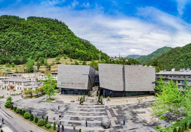 文章配图-5