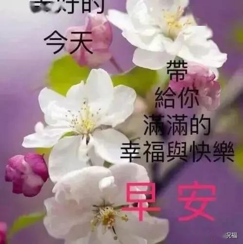 46acf06826aa430e8d1bd95ba07e58fe.jpeg