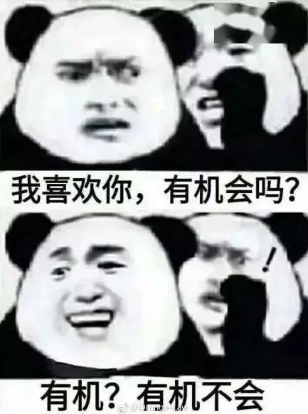 那个我喜欢你有机会吗