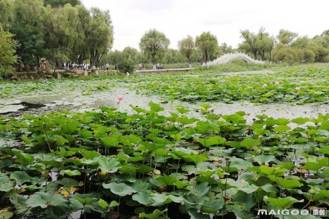 吉林十大周邊游景點(diǎn) 吉林周邊游哪里好玩 吉林周邊旅游景點(diǎn)(圖1)