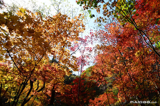 吉林十大周边游景点 吉林周边游哪里好玩 吉林周边旅游景点(图4)