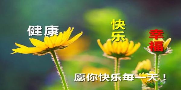 56be4eb3b5c5498fb0396b3a3c26cc46.jpeg