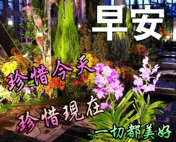 新的周一早上好,一声问候,一句祝福.早安问候语图片表情大全