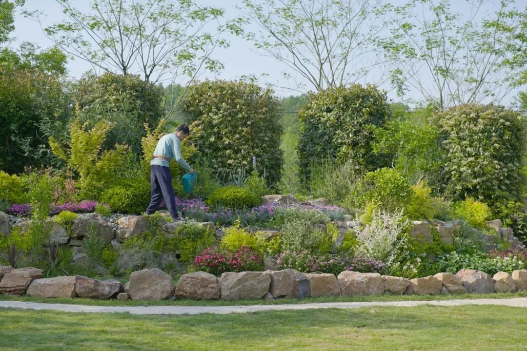 腾讯元老赚钱辞职到安徽隐居,每天对着200亩地发呆