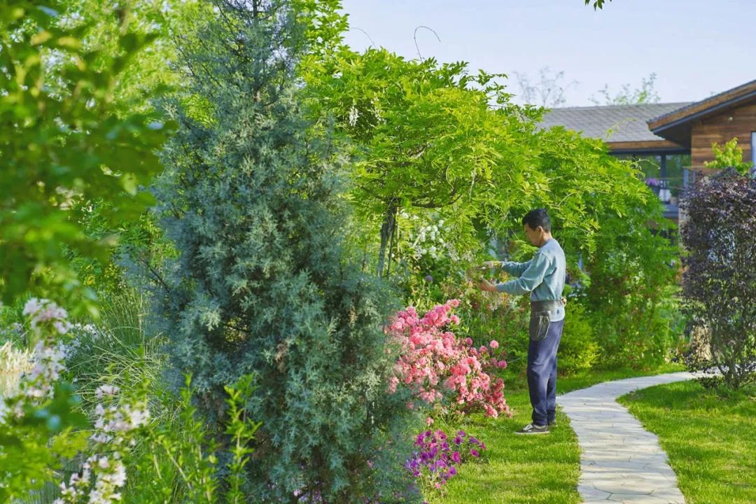 腾讯元老赚钱辞职到安徽隐居,每天对着200亩地发呆