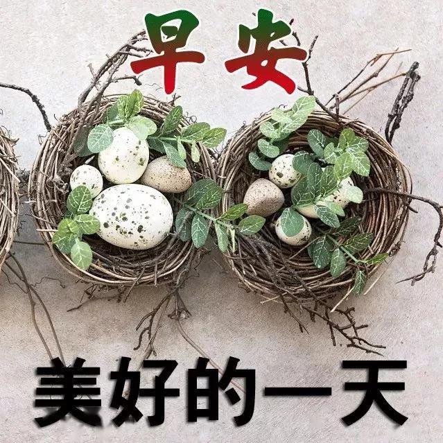 早安晚安语录大全