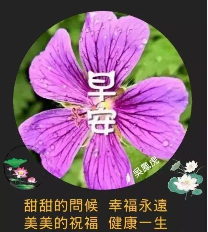 微信早上好漂亮鲜花祝福表情美图 最新早上好短信祝福