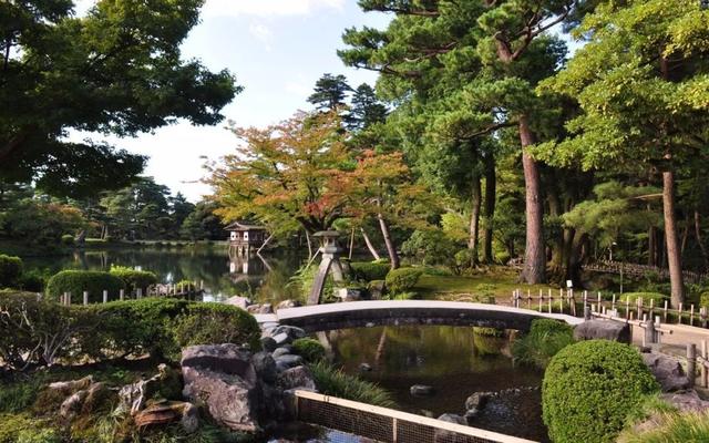 日本永居人口_日本人口图(2)