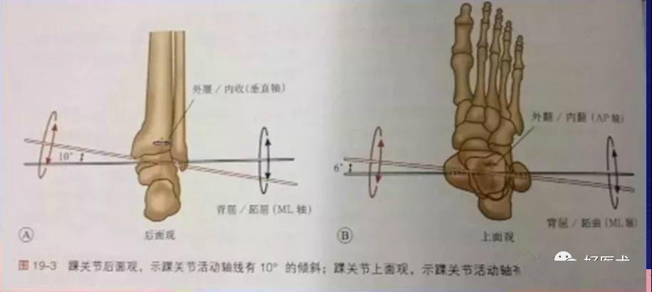 收藏| 骨科常用的角度测量方法汇总,全在这里了!