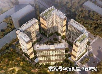 枫朗人口_人口普查图片