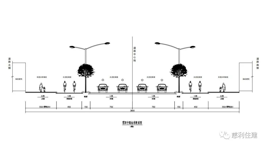 零阳中路道路断面图