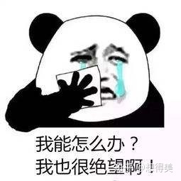 87dccb2b85494e6b867eace4ad02e63b.jpeg