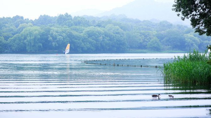 五月杭州 住进西湖边的世外桃源茅家埠美豪雅致 美景