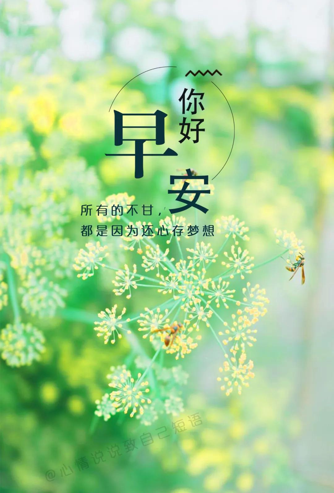 5月12日朋友圈早安说说的好句子,早安图片带字唯美短句