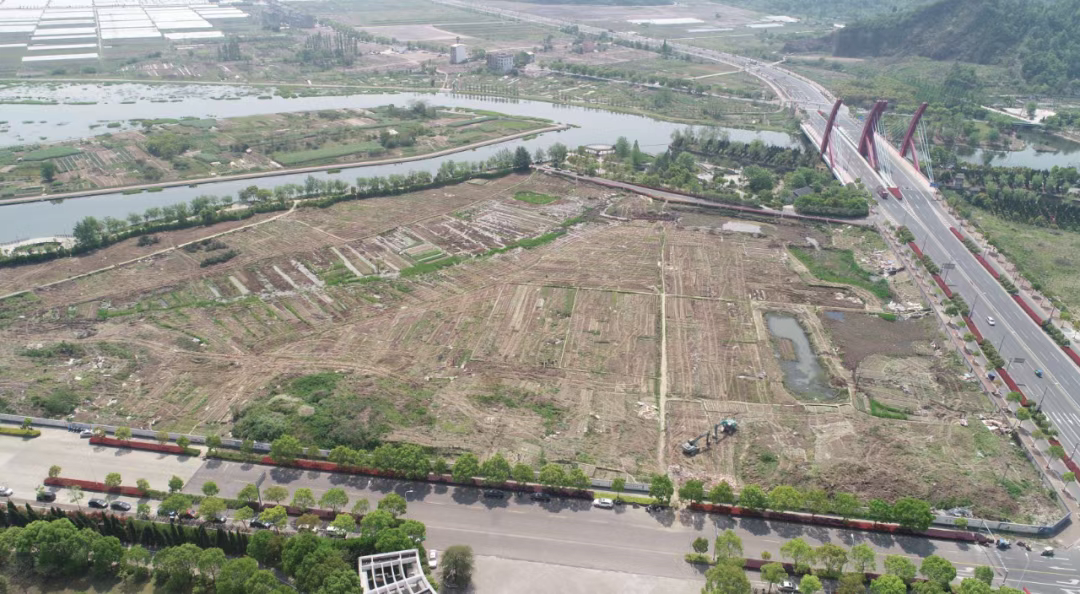 台州临海大洋街道双林南路东侧朝庄西路南侧地块拍卖出让公告