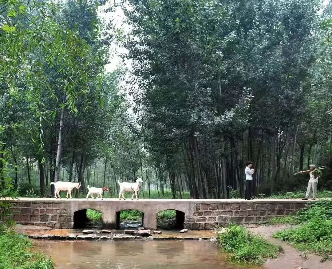 旅游资讯洛阳周边游好地方孟津有什么好玩的地方