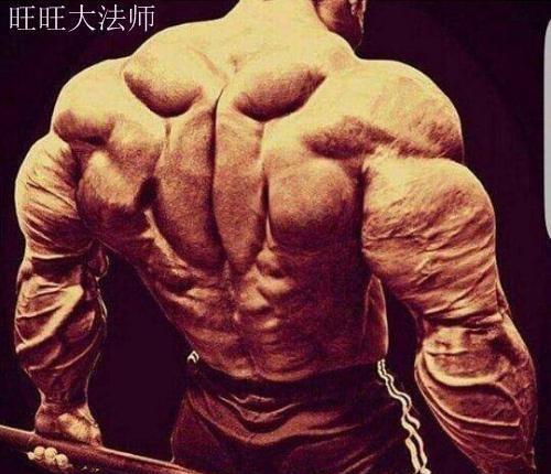怎么才能锻炼力量速度 9b4593243f59480b9f2723f74f1cf94b.jpeg