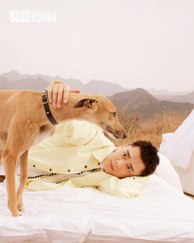 高冷但旁边的高冷大黄狗更抢镜！李易峰的眉毛太喜感了！浓黑似蜡笔小新