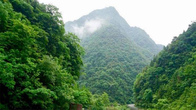 南川区gdp总量_南川区上半年GDP增长1.8