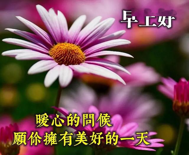 a2d054c4102449e4a30049592952e110.jpeg