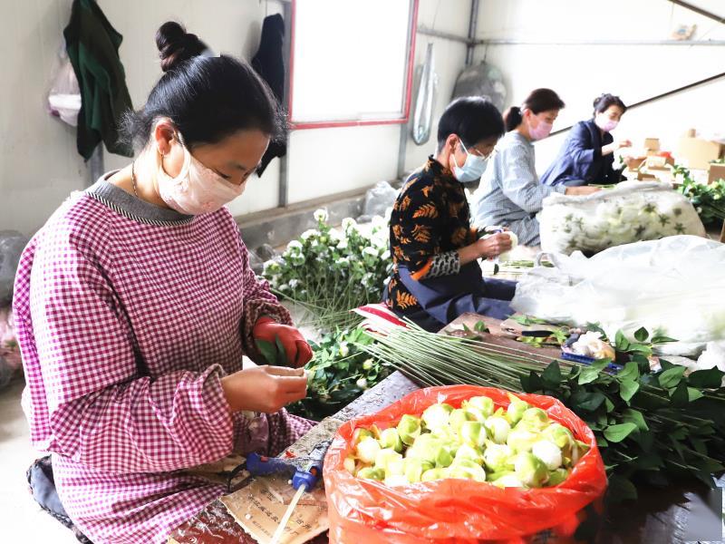 在盐山县孟店村的河北森雅星仿真花厂,各式各样的出口"鲜花"摆满了