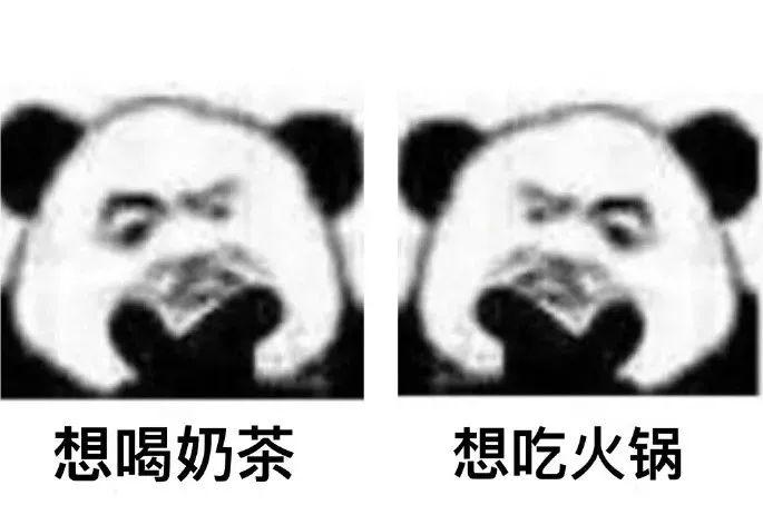 a919efefc2af4b26a3a85affe54b823f.jpeg