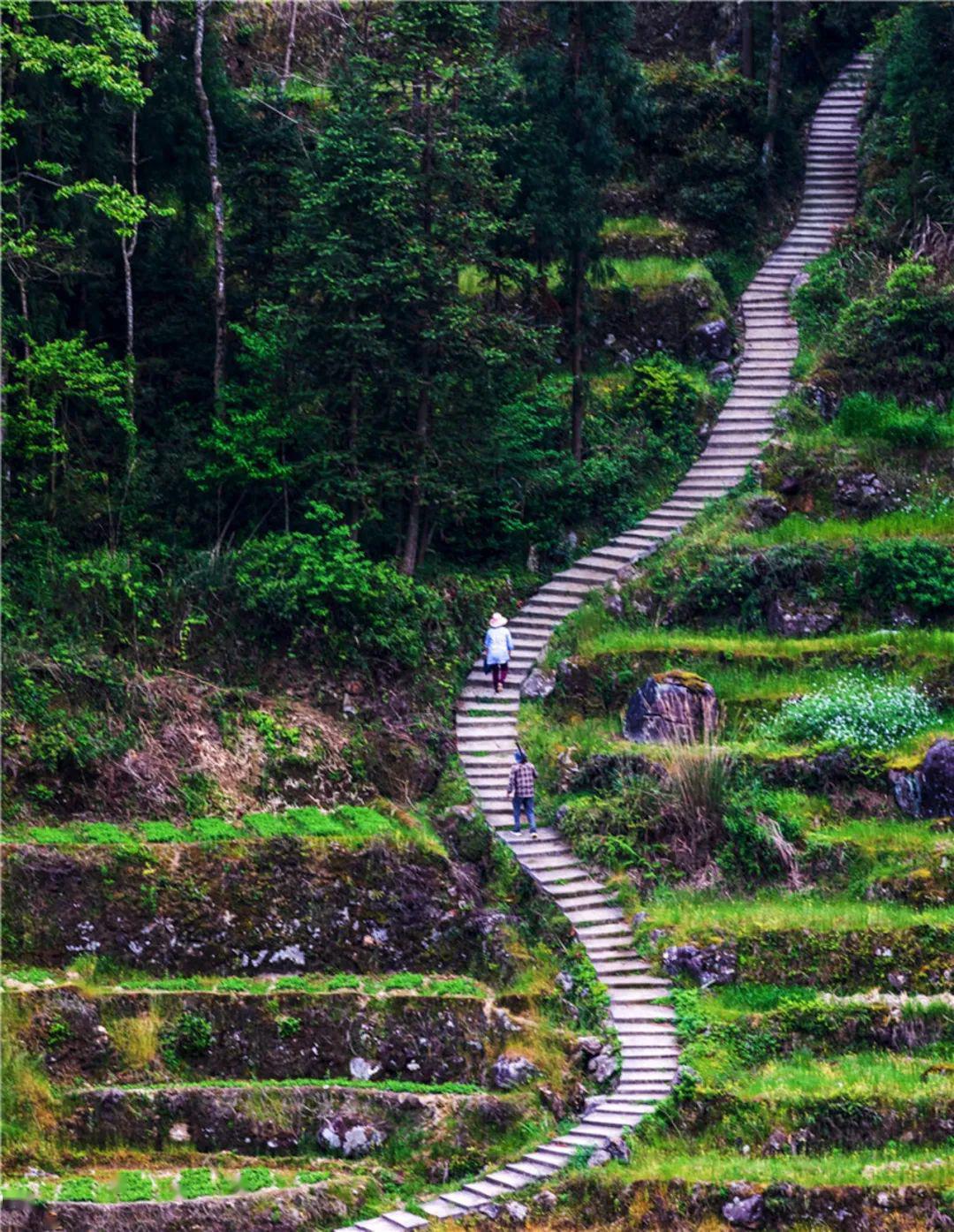 《登天梯》卓明泉(1780)