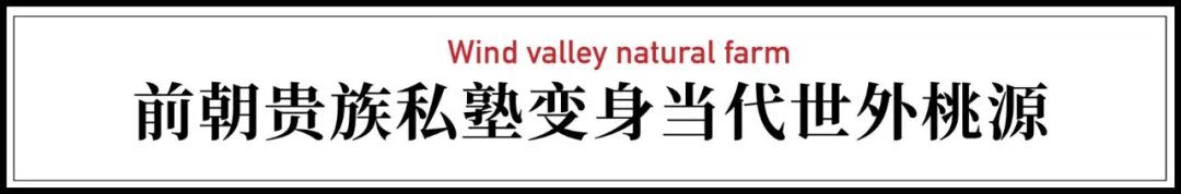 腾讯元老赚钱辞职到安徽隐居,每天对着200亩地发呆