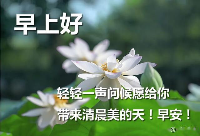 早上好漂亮问候表情祝福语,早晨好清晨祝福语录句子