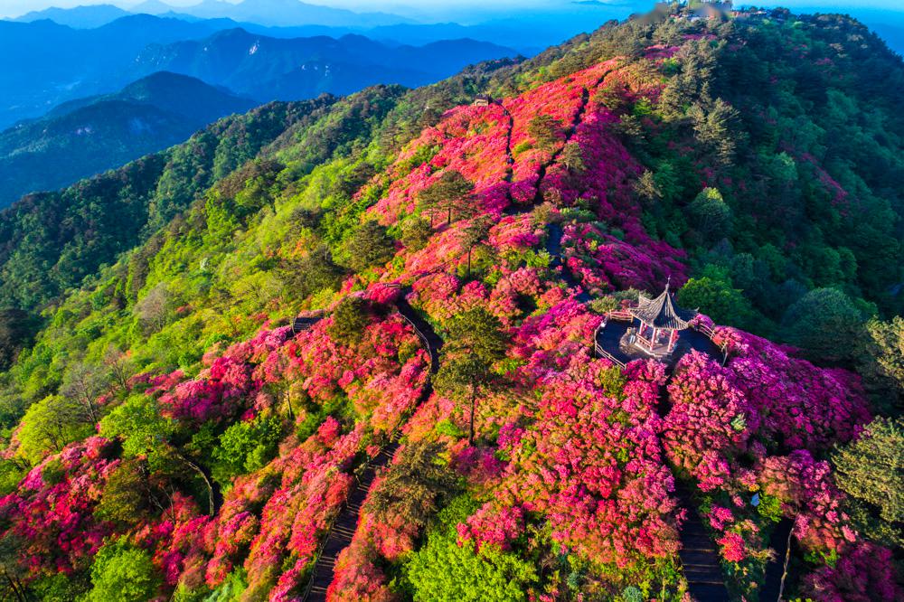 已成为 麻城网红自然风景地标.