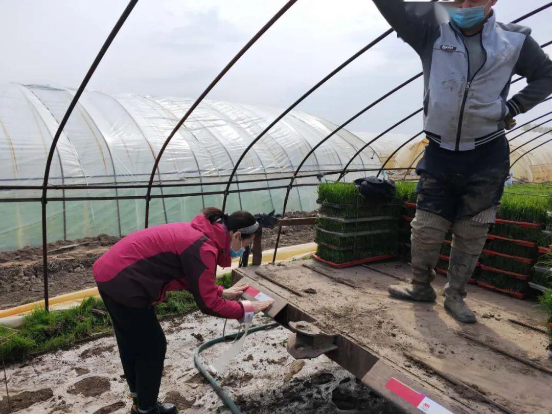 江川农场有限公司第十四作业站：强化农机管理 保证农机安全