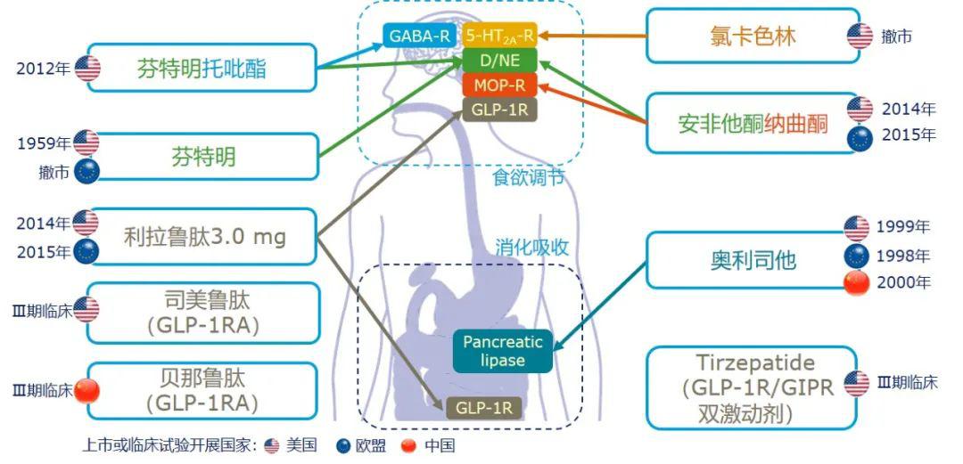 减肥药减重是什么原理_小粉药片是什么减肥药(3)