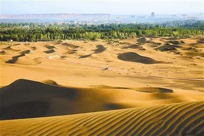 沙漠是一种特殊的生态系统