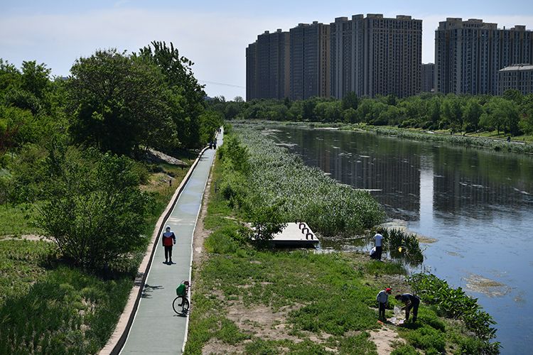 5月11日,凉水河滨河公园,市民沿河慢行路上健步走锻炼.