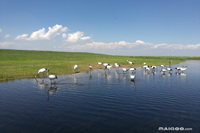 吉林十大周邊游景點(diǎn) 吉林周邊游哪里好玩 吉林周邊旅游景點(diǎn)(圖7)