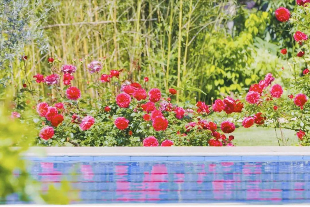 腾讯元老赚钱辞职到安徽隐居,每天对着200亩地发呆