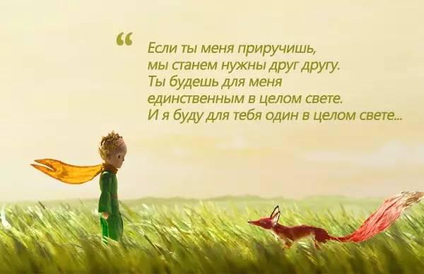 ced063d899a94ea1b6530348028e6973.jpeg