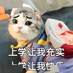武义博文学校好不好
