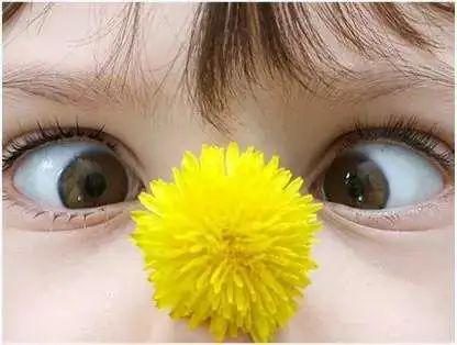 d6921001526d439281aac0d00af008d6.jpeg
