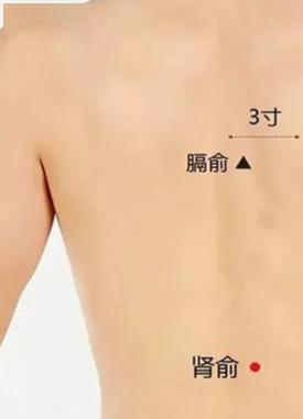 什么样子的人适合艾灸来调理脾胃 d82c2bd5726c4f05809cdfdf64fc1d7f.jpeg