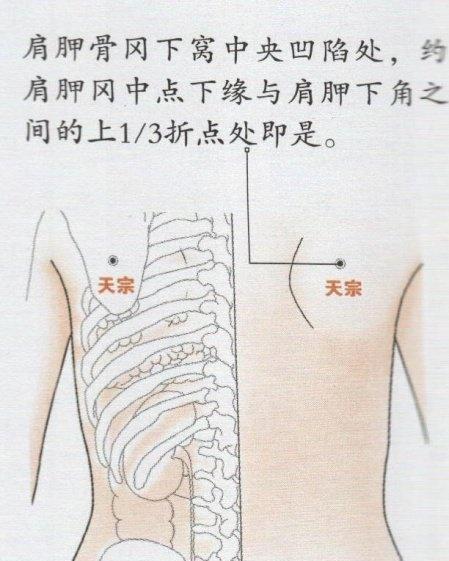 什么小肠成语_小肠疝气图片什么位置(3)