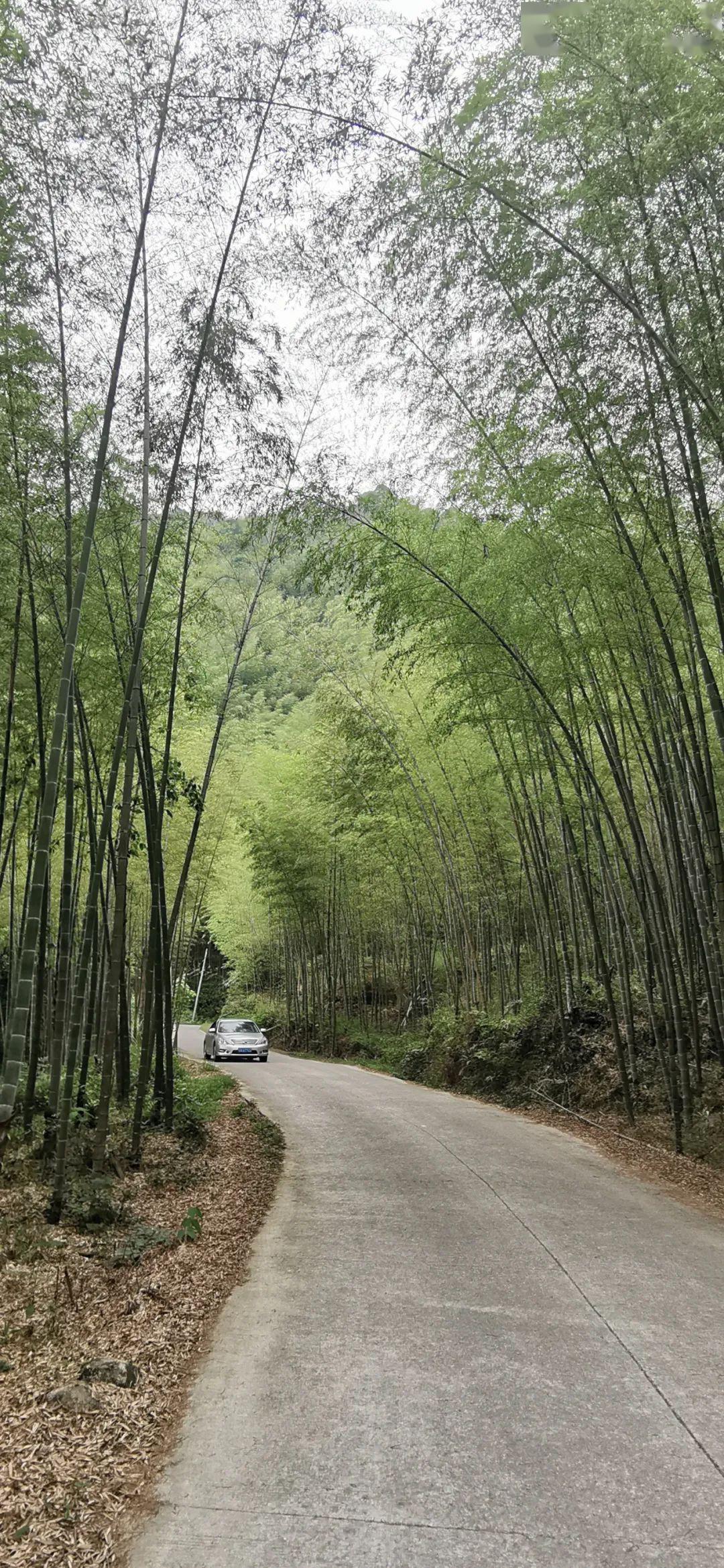竹海.村落 走进小桥流水人家 05.16-17生态崇义自驾召集