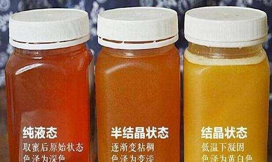 ddbc941ace164c2ab86f4ae8737a5473.jpeg