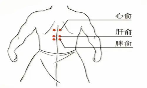 五脏调和,大病不来!5组特效穴,一对一调养心肝脾肺肾