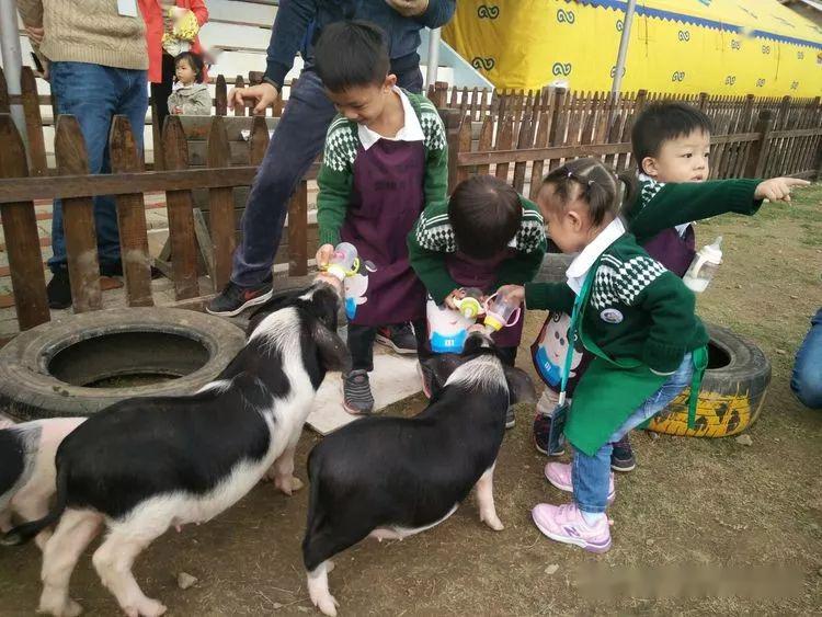 开云体育 Kaiyun.com 官网入口休闲农业经营者要树立五种理念(图7)