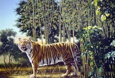 图中除了这只大老虎还隐藏着什么动物?