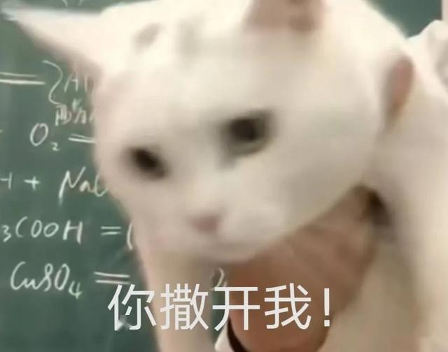 eca9c968118b47f787bec49bd46dd6c4.jpeg